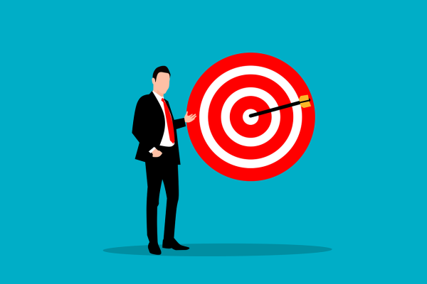 Cíle a strategie AI