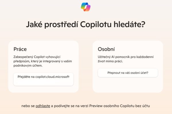 Práce nebo Web Copilot chat